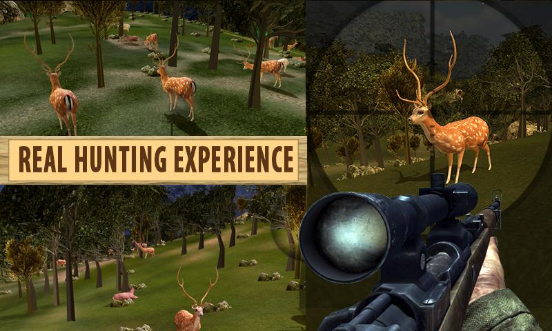 Deer Hunter Sniper Killer 2016