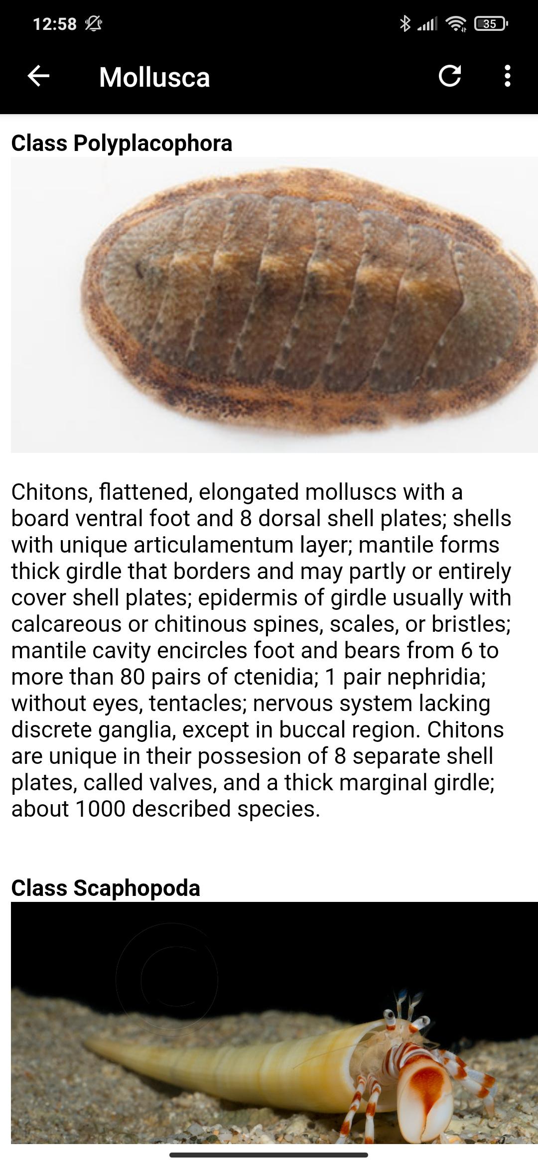 Zoology invertebrates part I