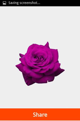 Lovely Flower Stickers