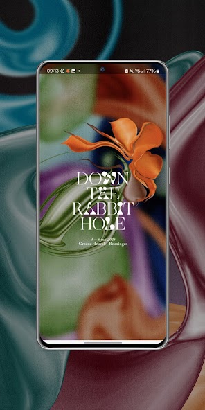 Down The Rabbit Hole 2025