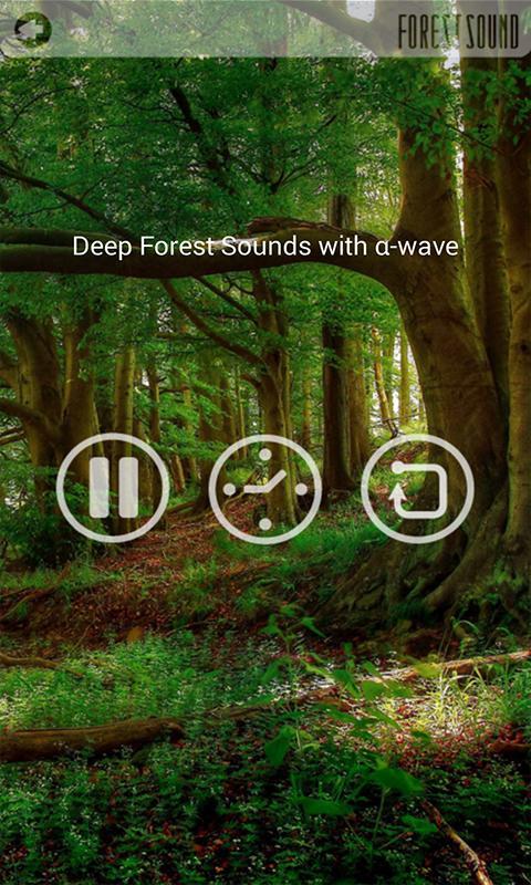 FOREST SOUND - Sound Therapy