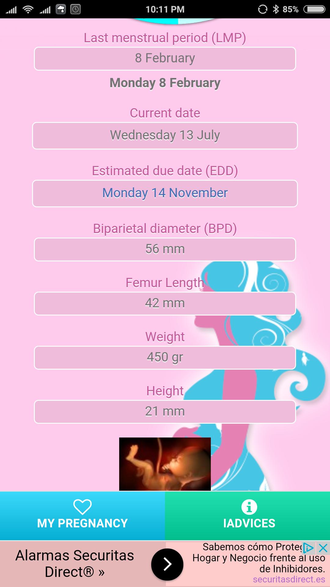 Free Pregnancy Monitoring