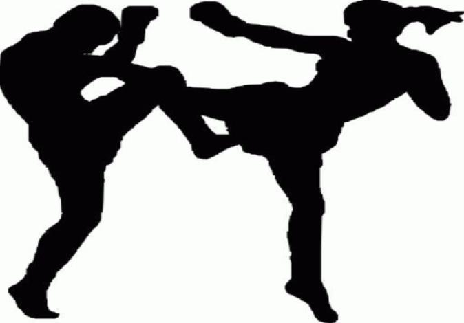 Muay Thai Training Program