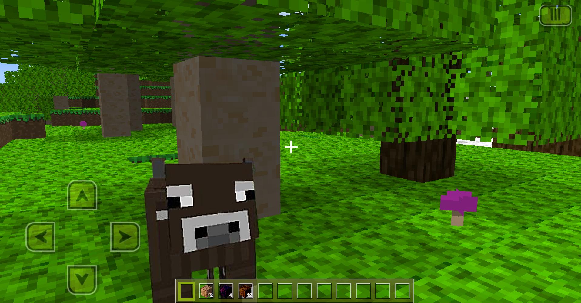 Yolo Craft: Pocket Edition