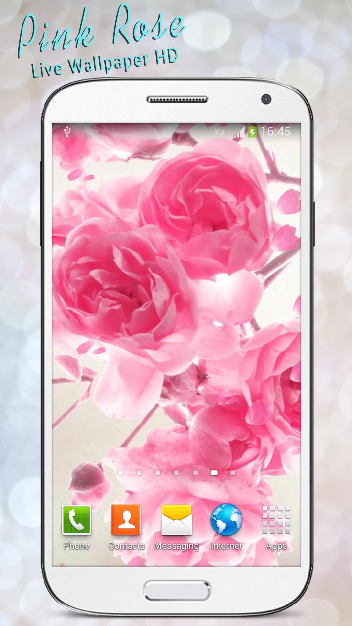 Pink Rose Live Wallpaper HD