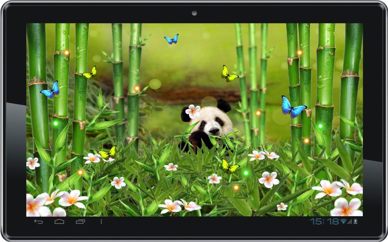 Panda Funny live wallpaper