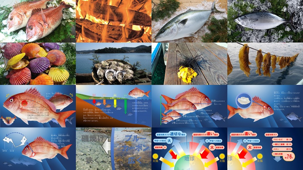 Sustainable sea puzzle