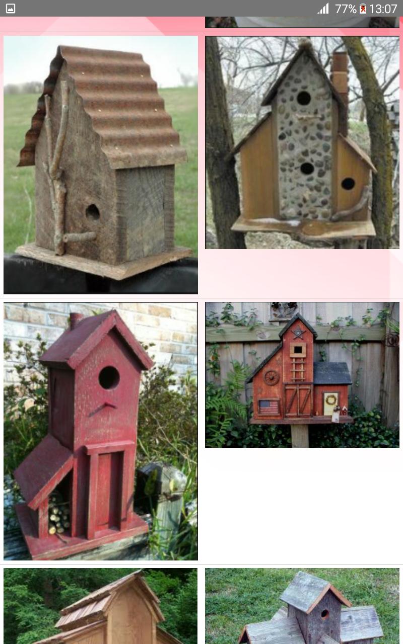 Bird House Plans