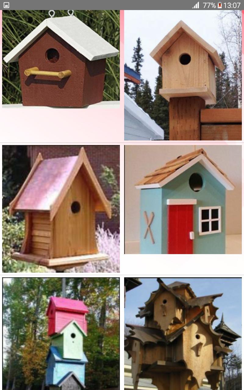 Bird House Plans