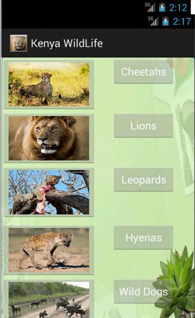 Kenya Wildlife App