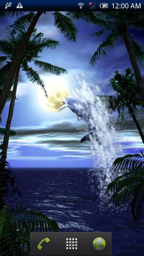 Dolphin Fullmoon Trial