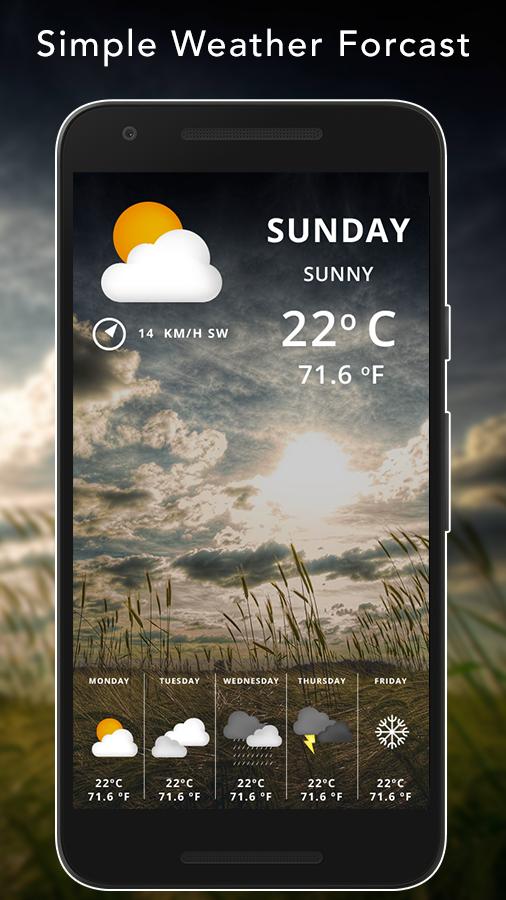 Amber Weather Widget