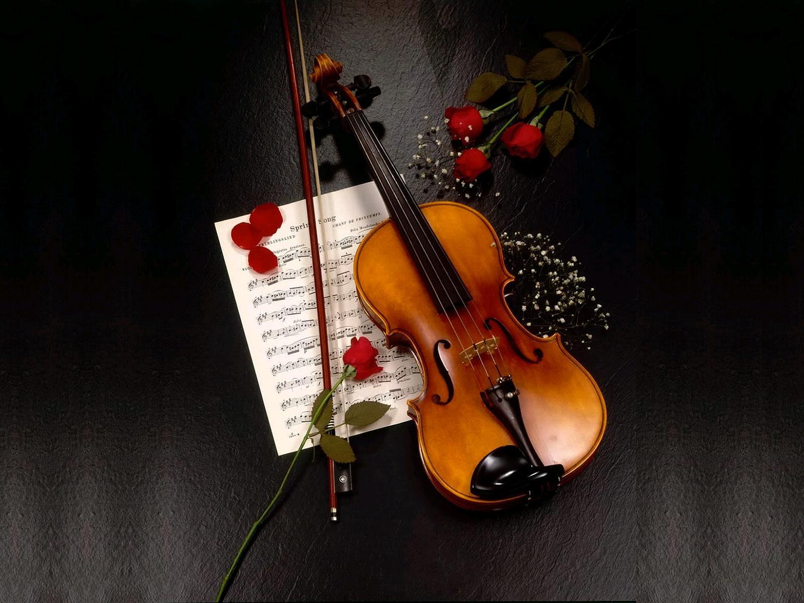 Violin Wallpaper