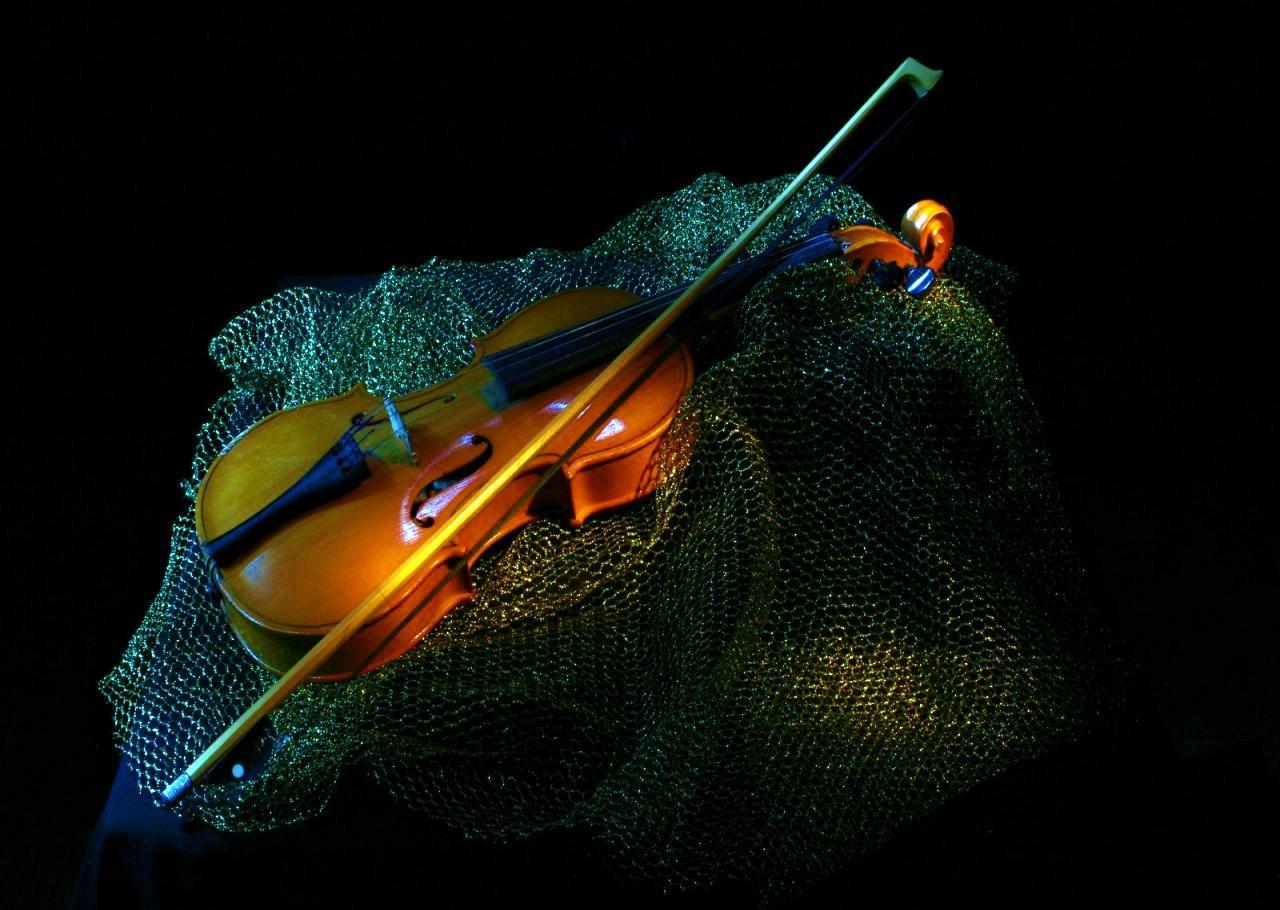 Violin Wallpaper