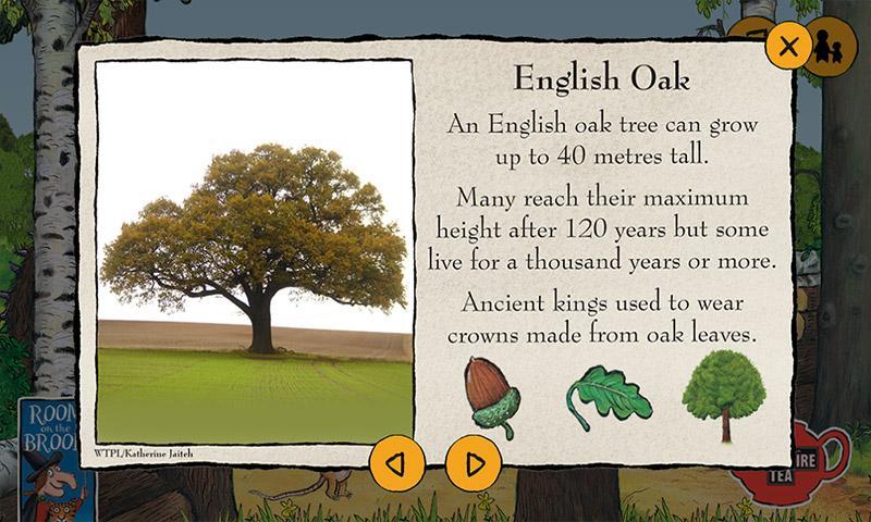 Gruffalo & the Vanishing Wood