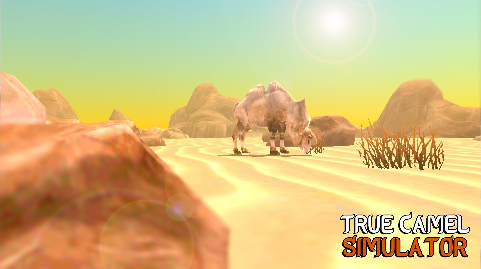 True Camel Simulator