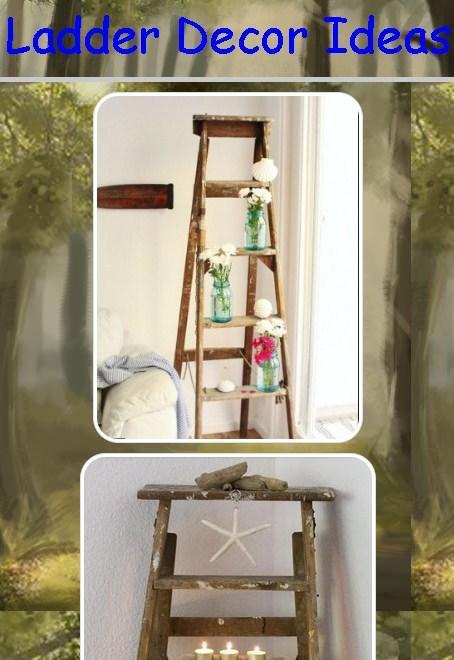 Ladder Decor Ideas