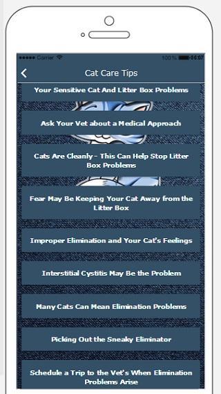 Cat Care Tips: How to take care of your cat