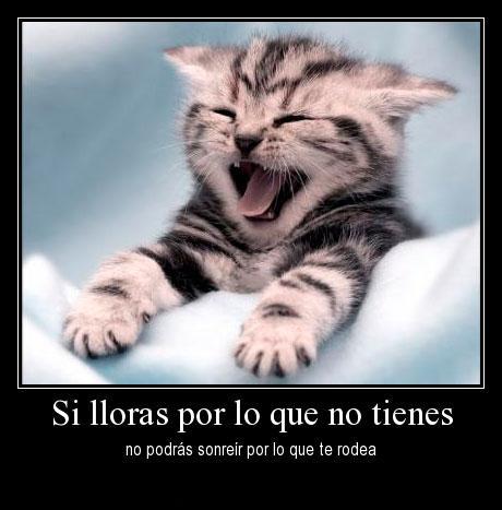 Courage and Positive Phrases