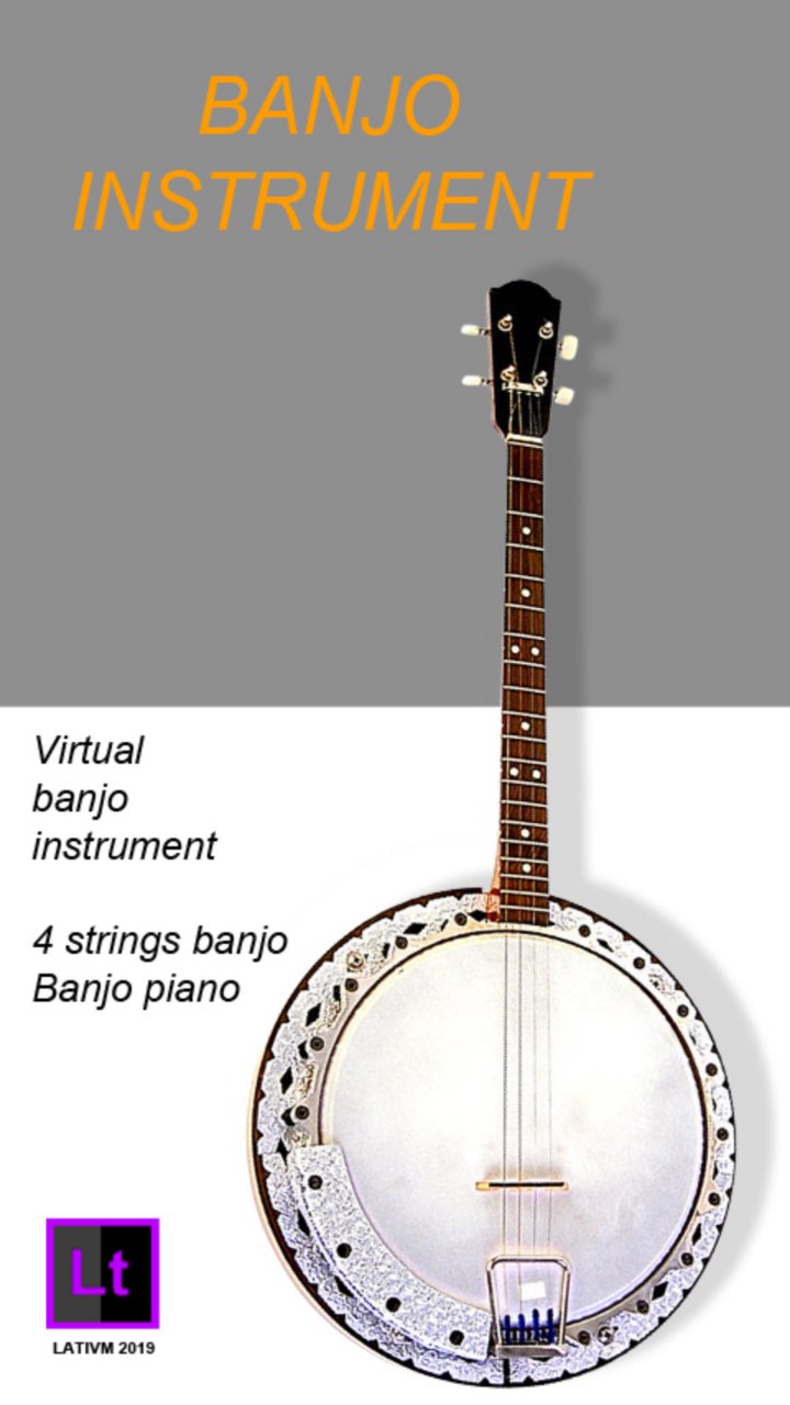 Banjo instrument