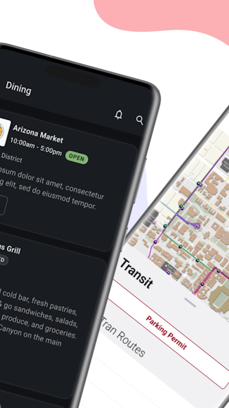 The University of Arizona