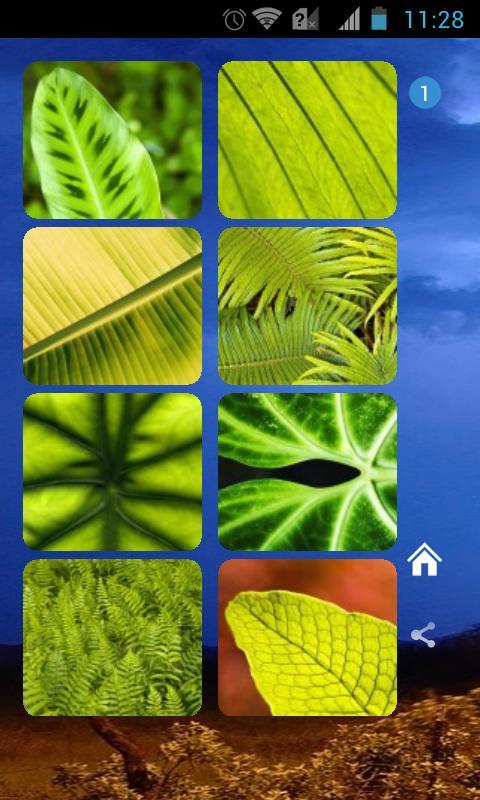 Green Leaves Theme