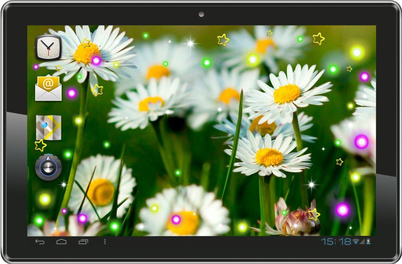 Camomile Summer live wallpaper