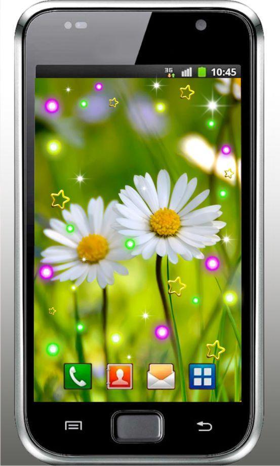 Camomile Summer live wallpaper
