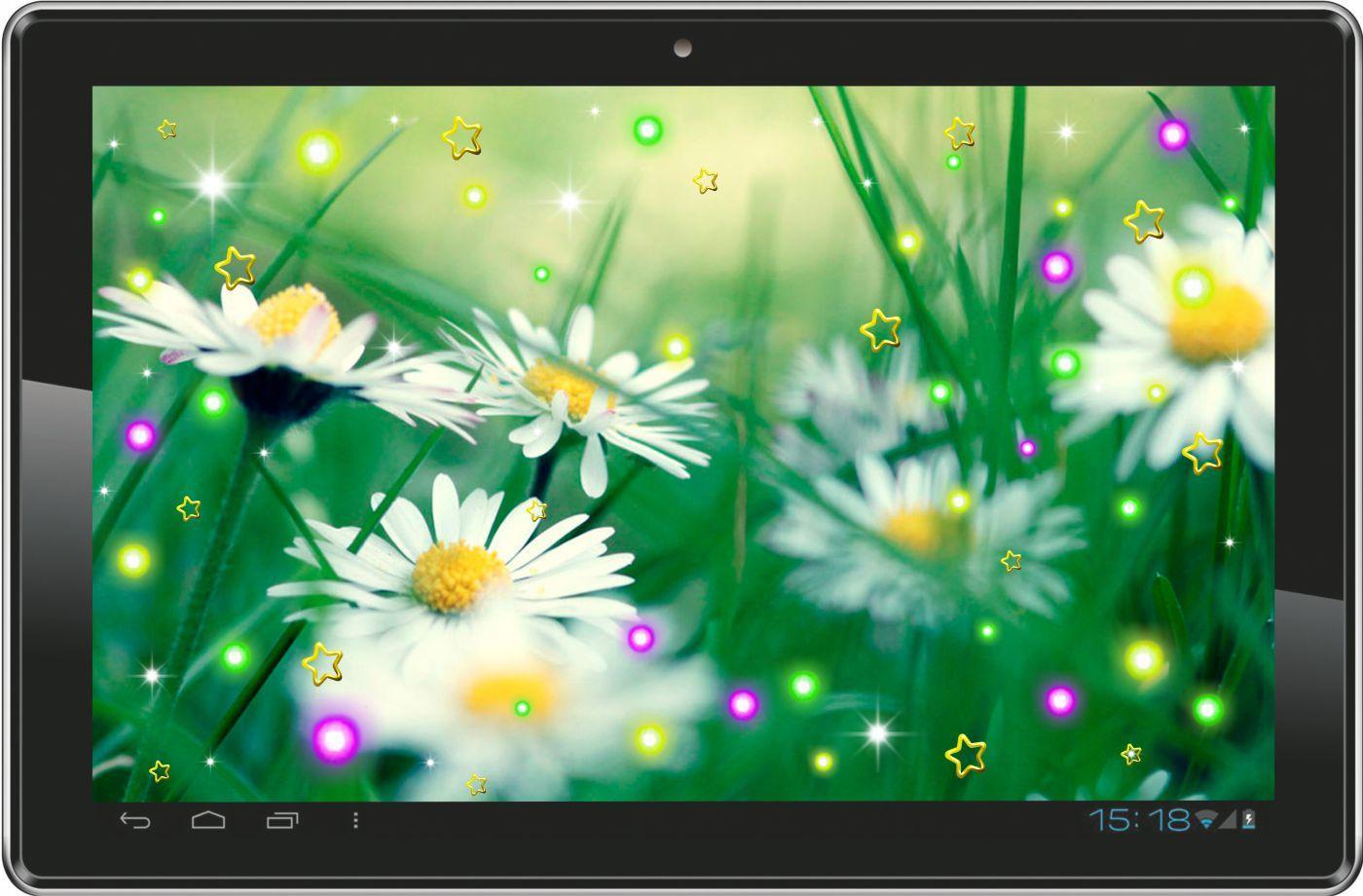 Camomile Summer live wallpaper