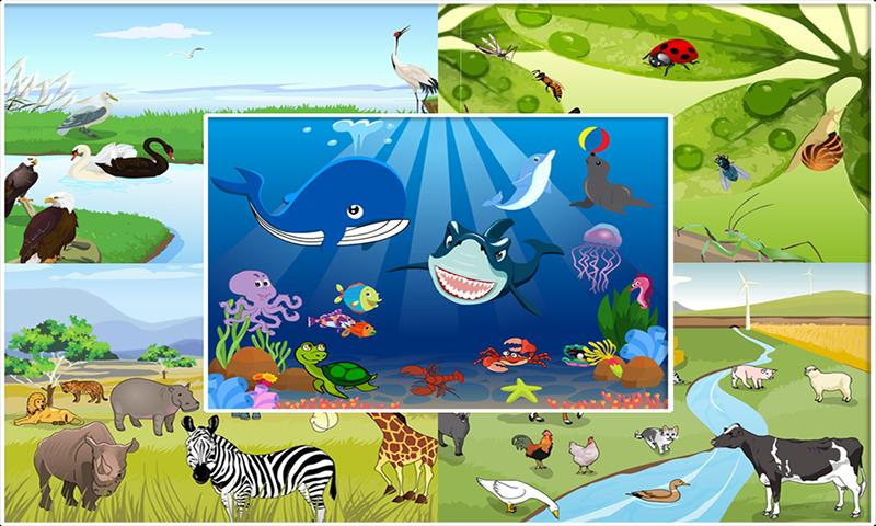 Animal Sound - Animal World - Game For Kids