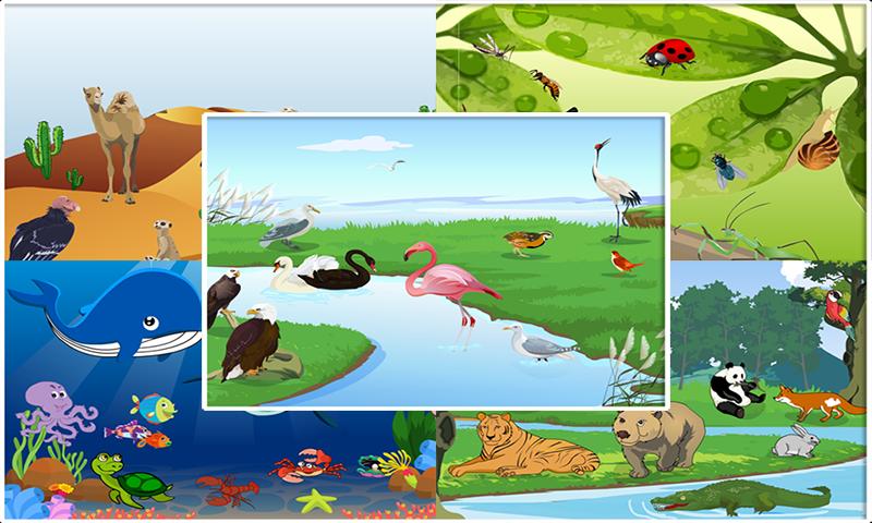 Animal Sound - Animal World - Game For Kids