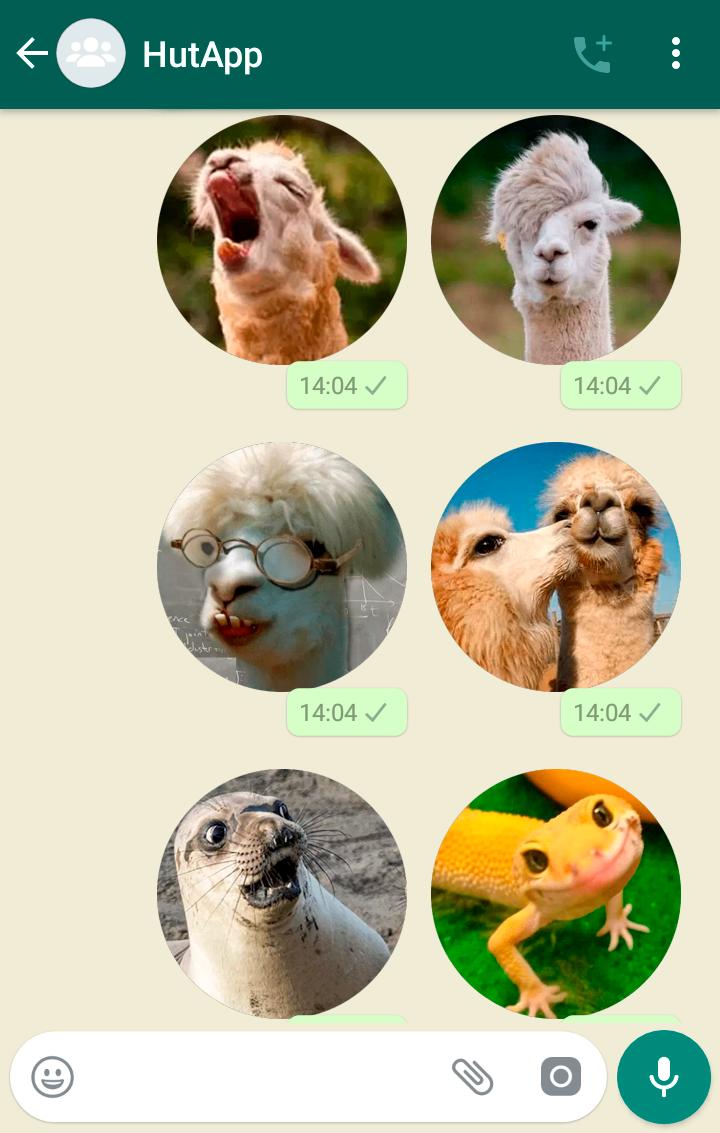 Animal Stickers