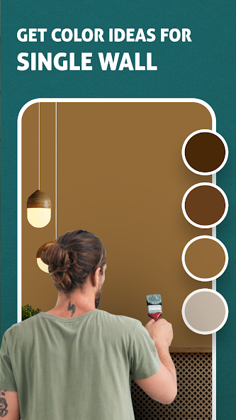Interior Home Wall Paint Color