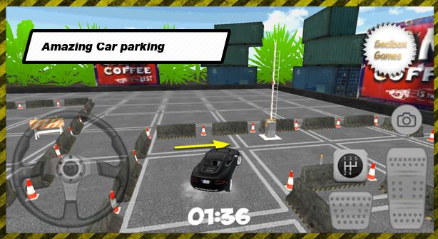 Extreme Luxury Parking