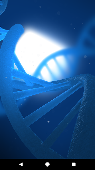 Live Wallpaper Screen Saver