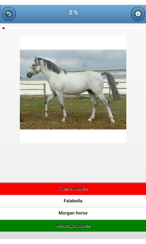 Breeds of horses - quiz