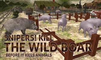 Farm Boar Hunter Simulator