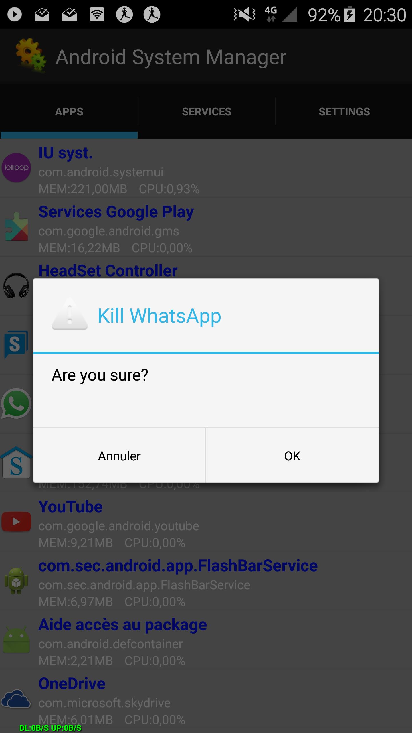 Process and Service Manager