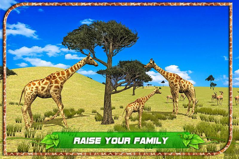 Clan of Giraffe 3D
