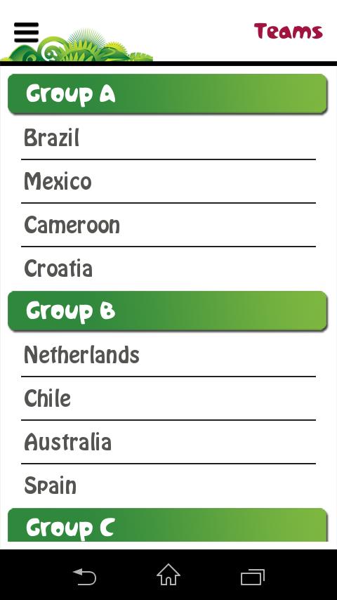 FIFA World Cup Fever 2014