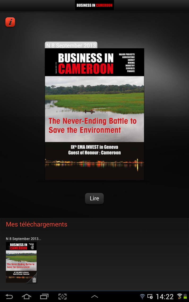 Business In Cameroon