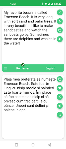 Romanian - English Translator