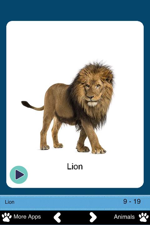 Wild Animals for Toddlers