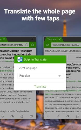 Dolphin | YeeCloud Translate