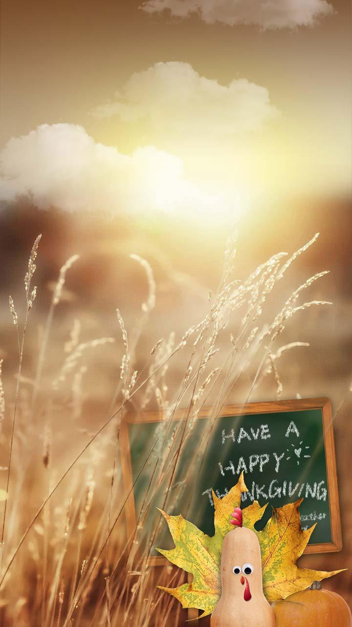Thanksgiving Live Background