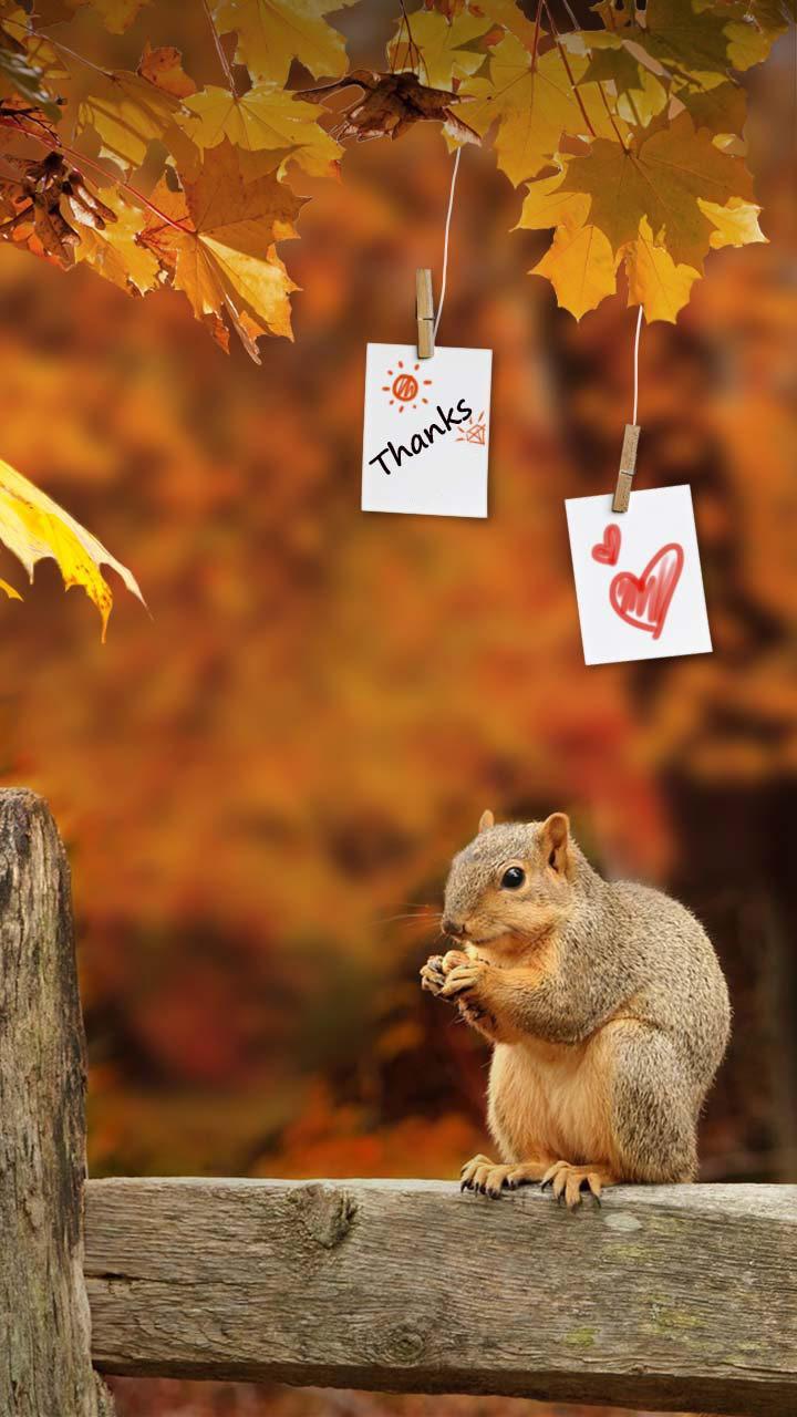 Thanksgiving Live Background