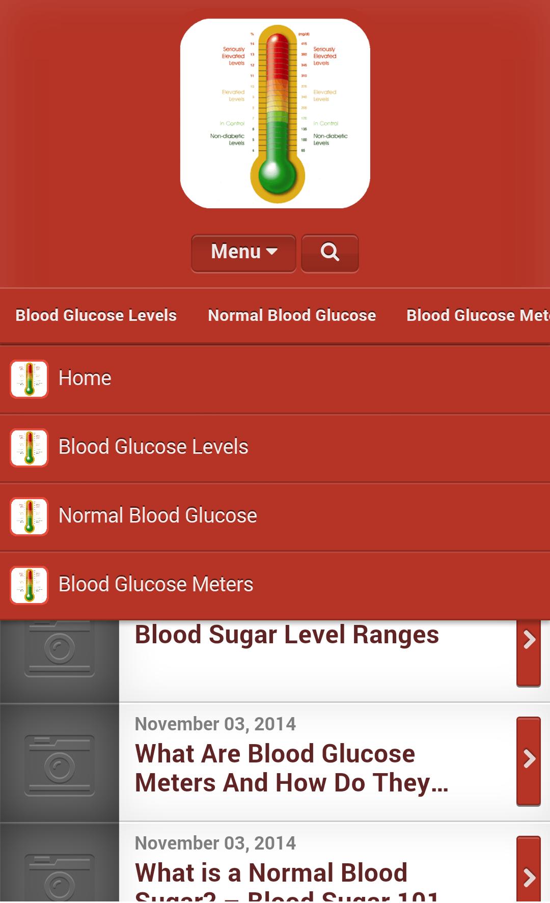 Blood Glucose Meter Monitoring