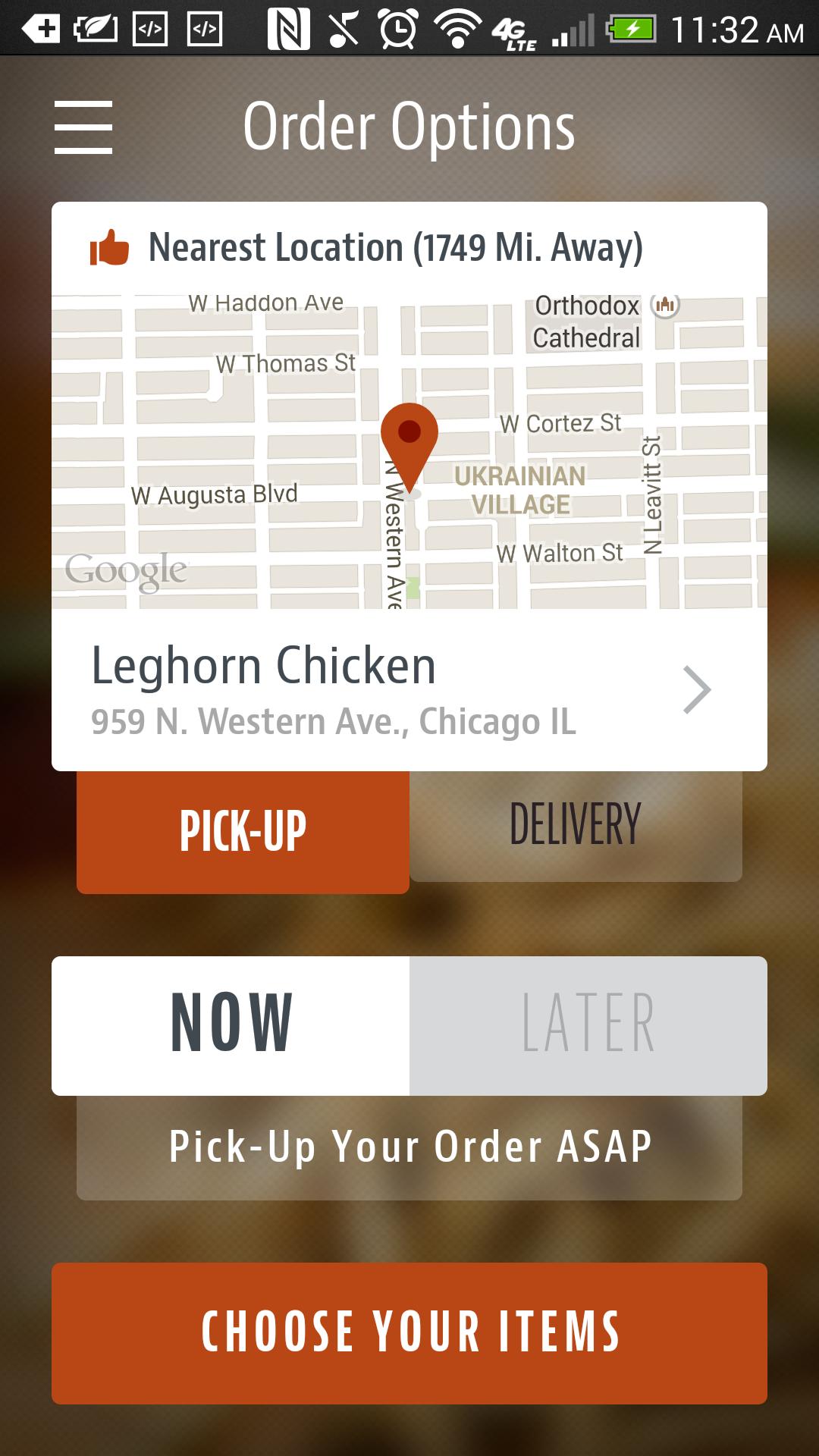 Leghorn Chicken
