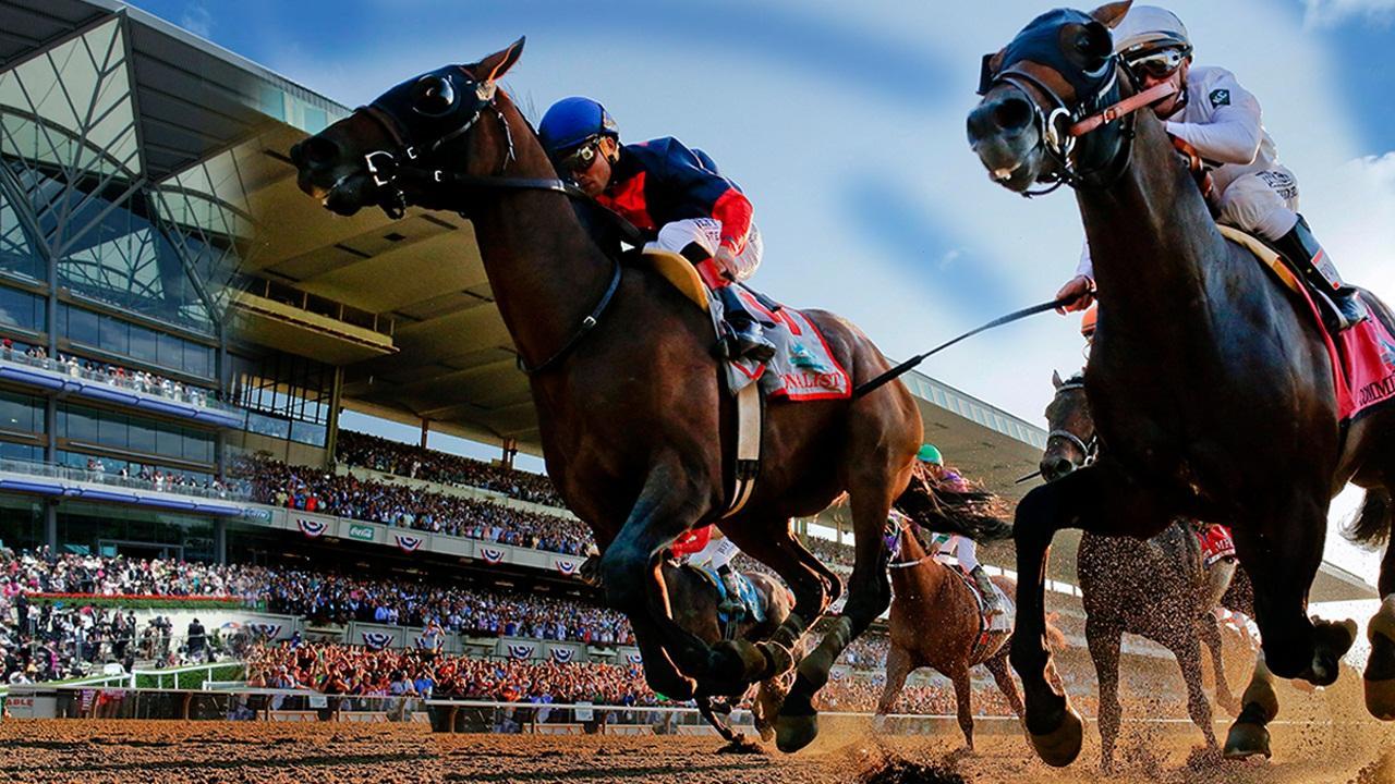 Horse Real Racing & Jumping Simulator Game