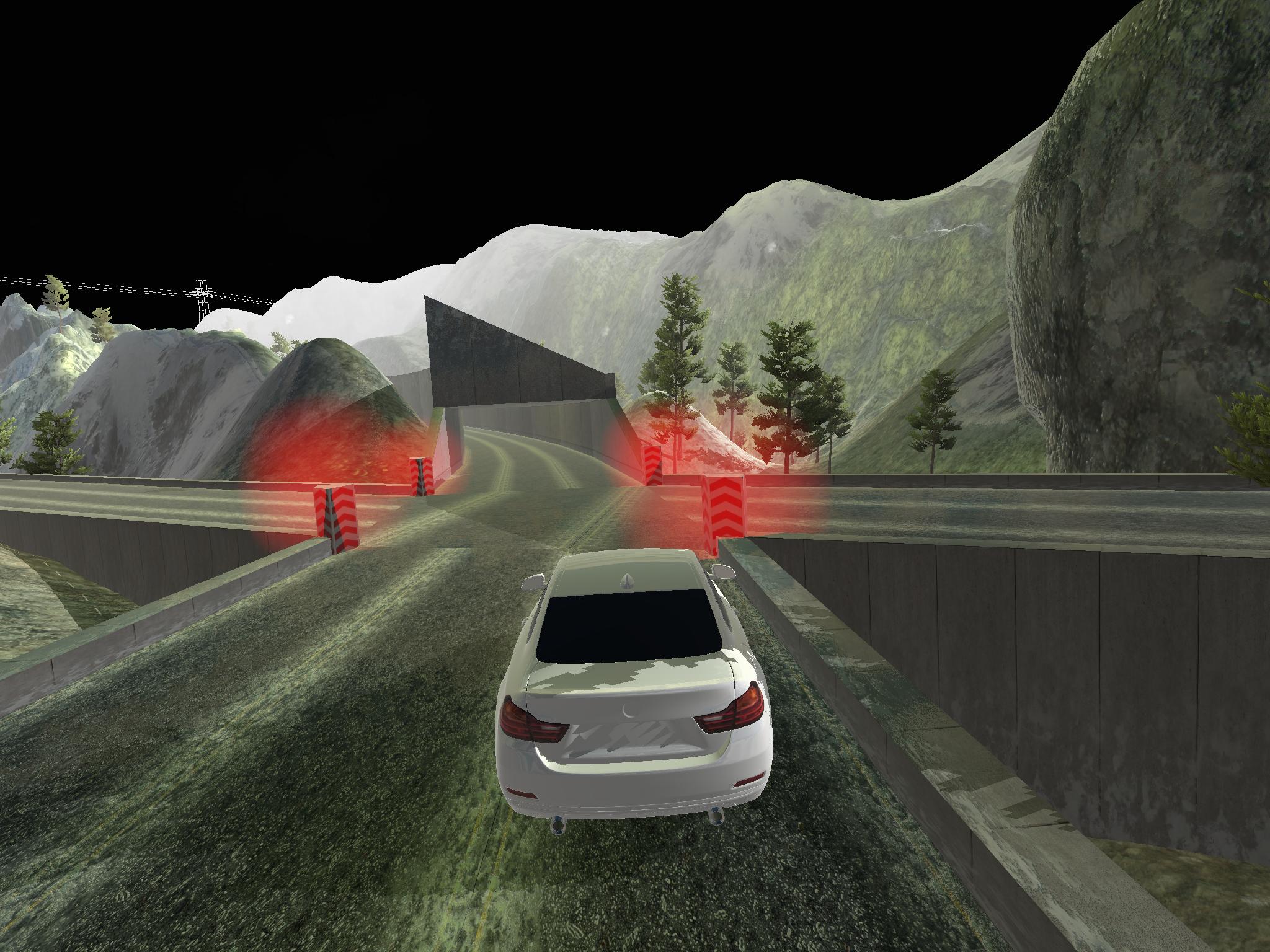 Mountain Race Simulator